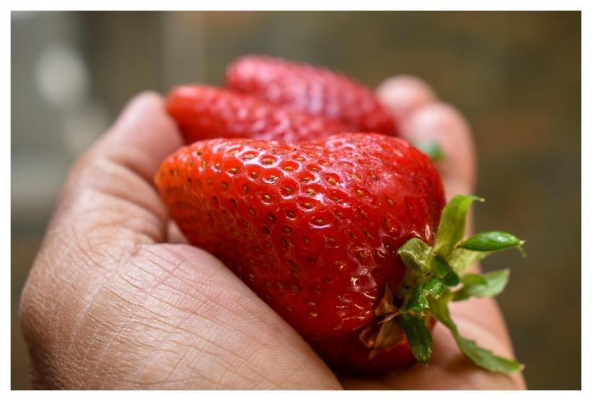 Food Fruit Healthy Fragaria