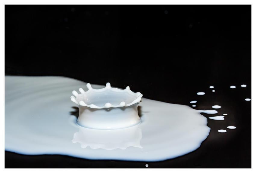 Drops Of Milk Spray Splash Surface Tension