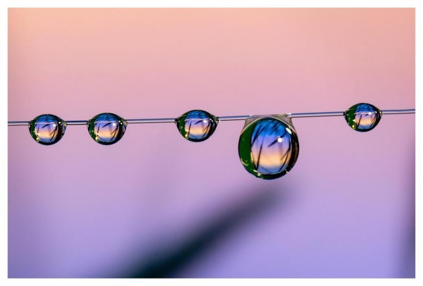 Home Studios Home Studio Nature Marco