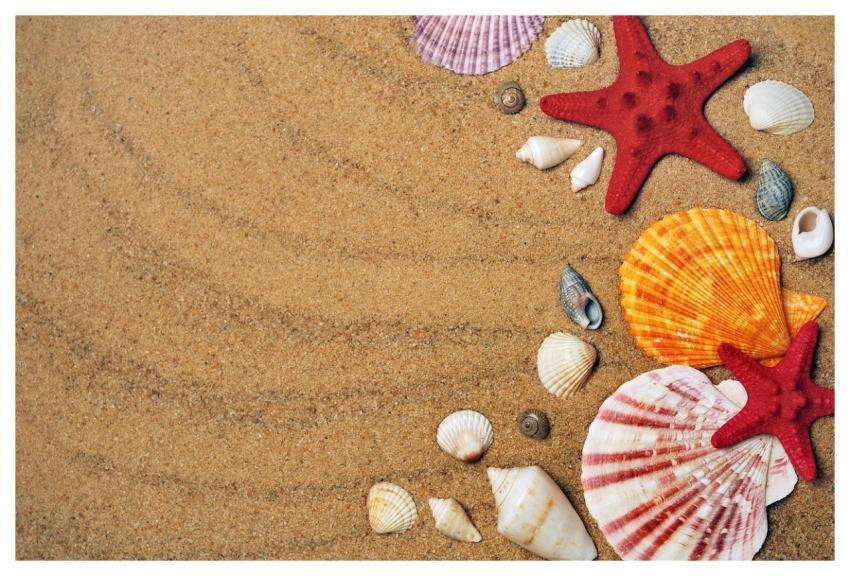 Starfishes Nature Background Sand Desktop Backgrou