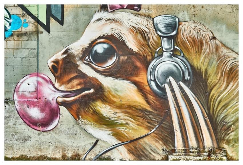 Graffiti Art Sloth Headphones