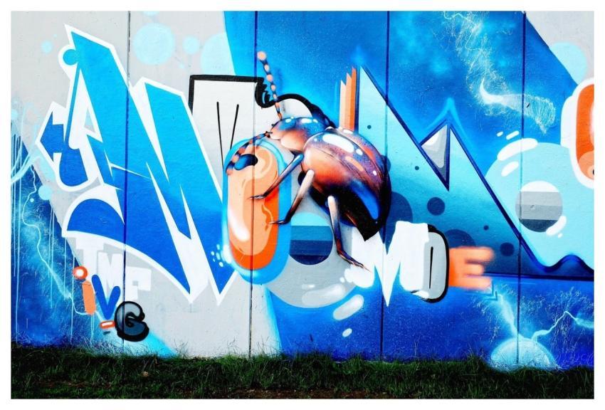 Street Art Graffiti Art Urban Art