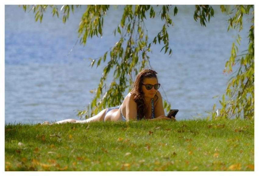 Woman Tanning Grass Lakeshore