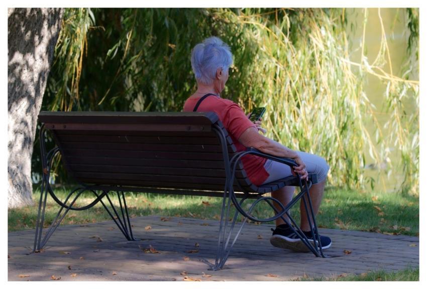 Woman Bench Elderly Relaxing