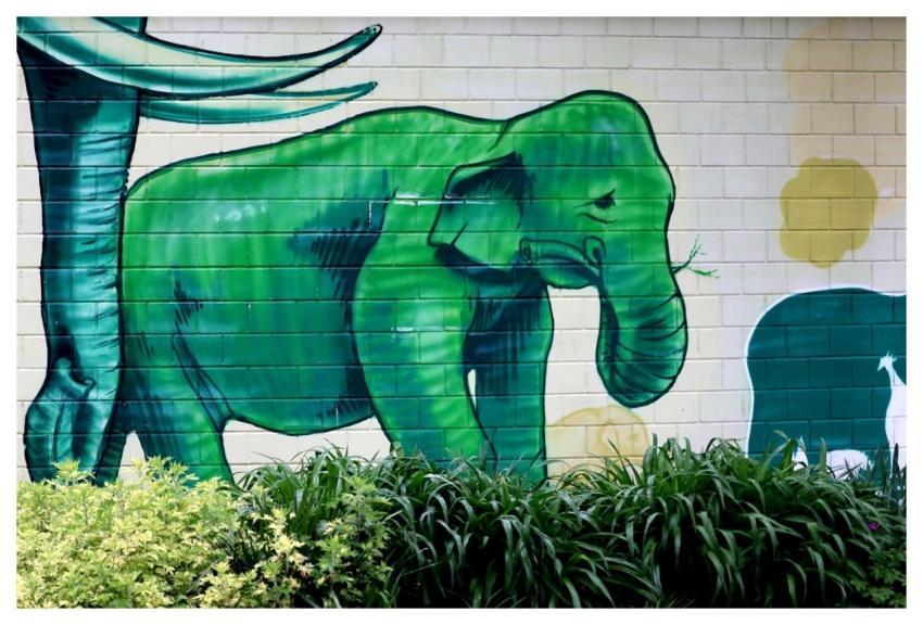 Street Art Art Painting Cologne