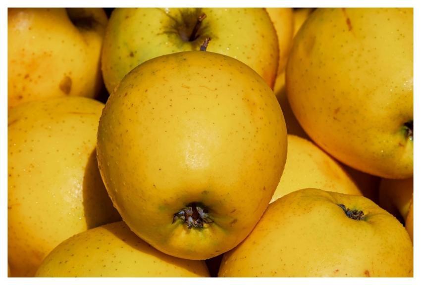 Apples Golden Delicious Fruit Vitamins
