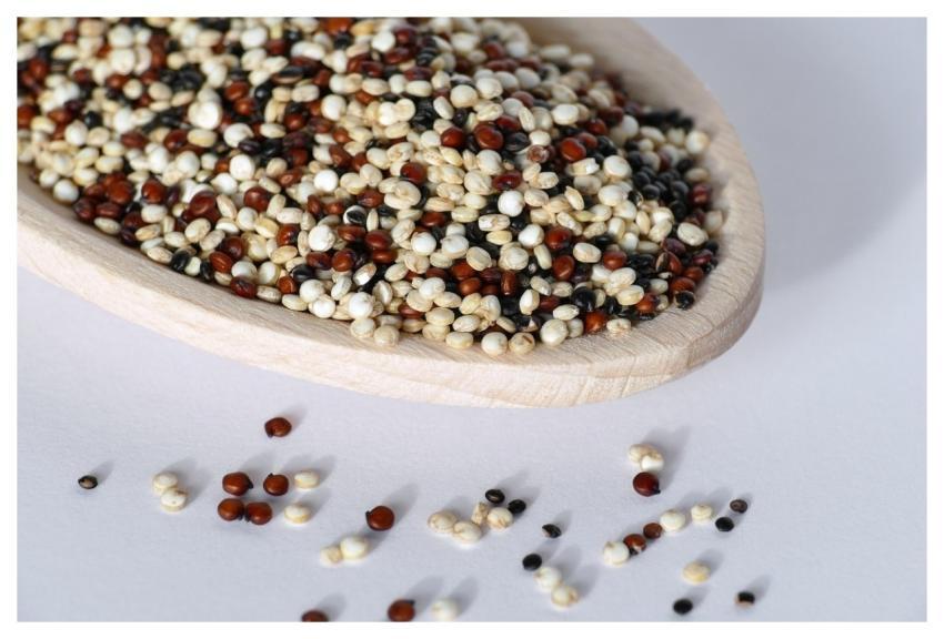 Quinoa Andean Millet Colorful Vegan