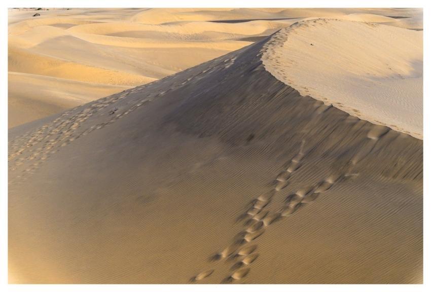 Dune Desert Sand Nature