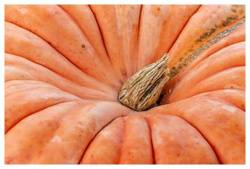 Pumpkin Vegetables Food Fruit