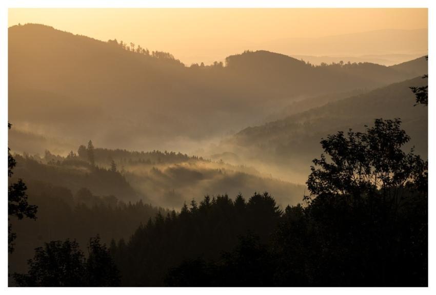 Fog Mist Haze Valley