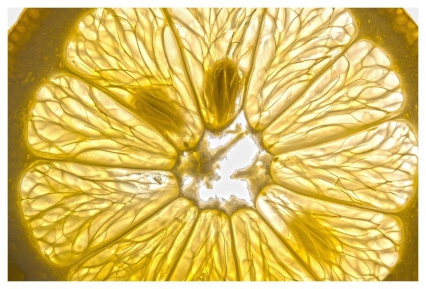 Lemon Vitamins Meal Fresh