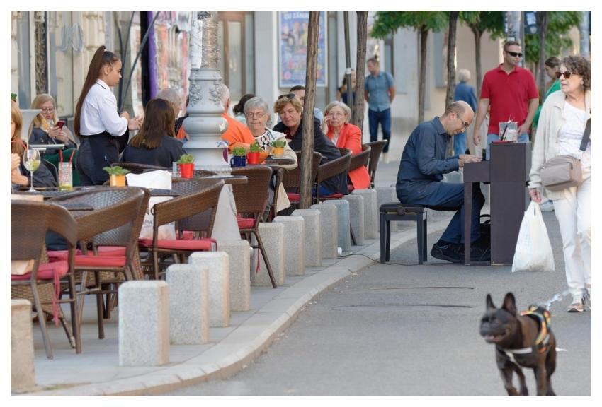 People Terrace Animal Outdoors