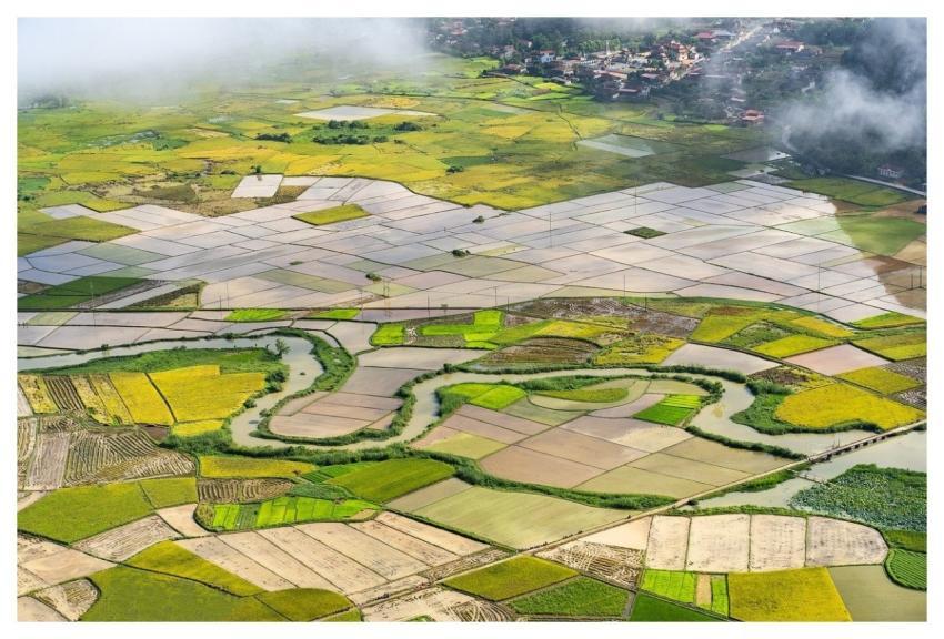 Terraces Vietnam Travel Farmer