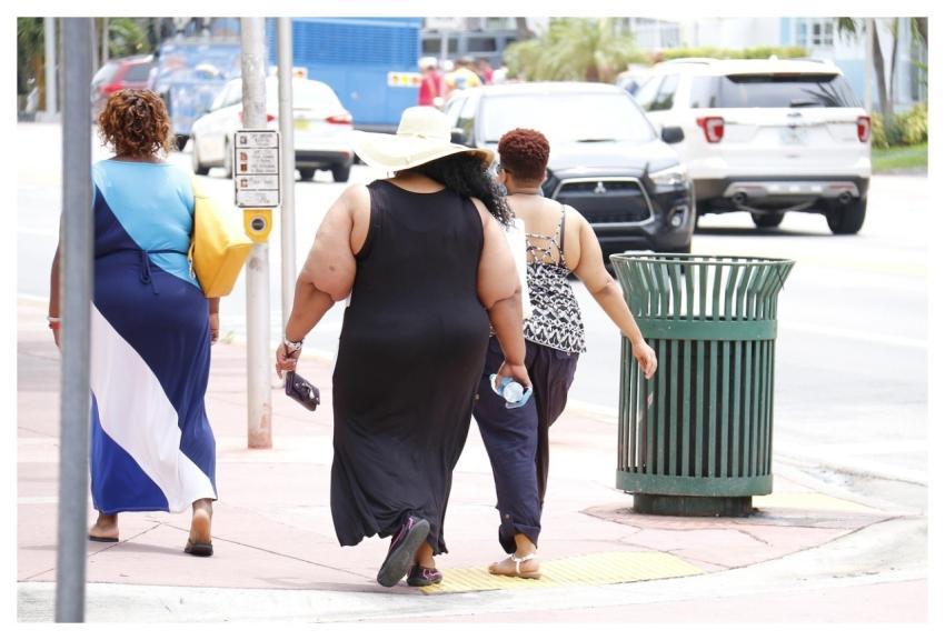 Obesity Fat Nutritionist City