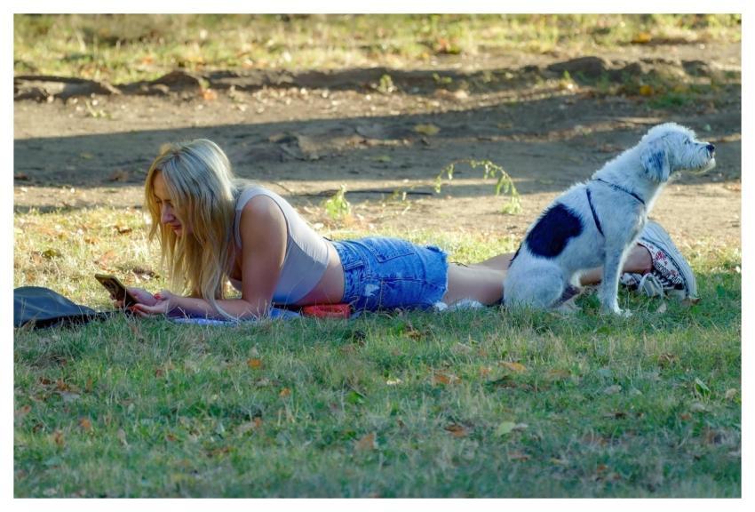 Girl Blond Looking Smartphone