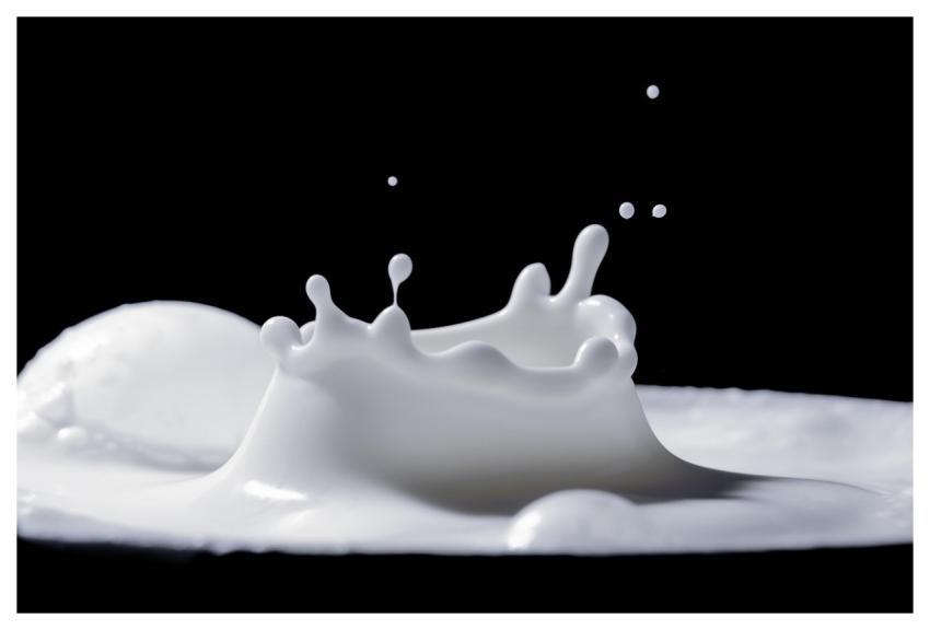 Milk Splash Drops Food