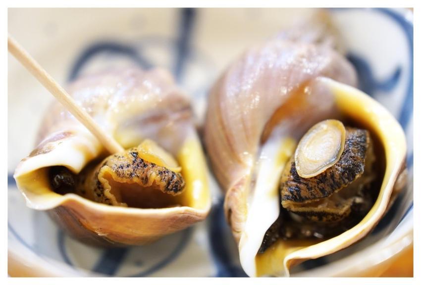 Whelk Shell Sea Food Cuisine Diet