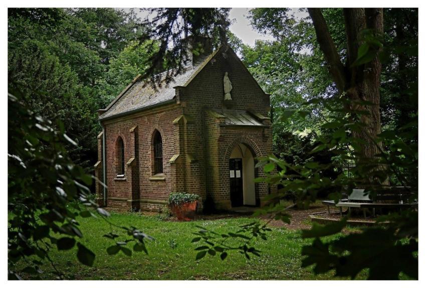 Chapel Nature Church Forest