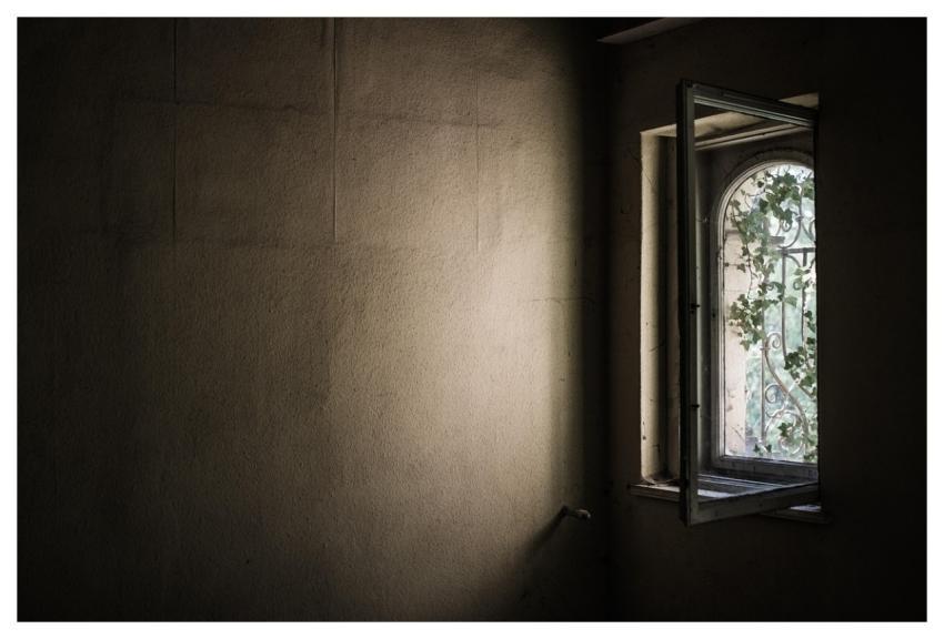 Window Old Abandoned Ivy