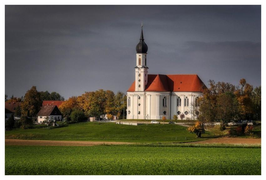 Fall Meadow Tree Nature