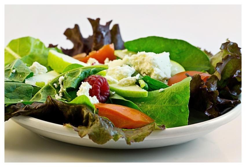 Salad Fresh Organic Food