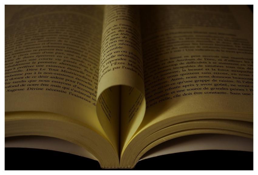 Book Wisdom Literature Novel