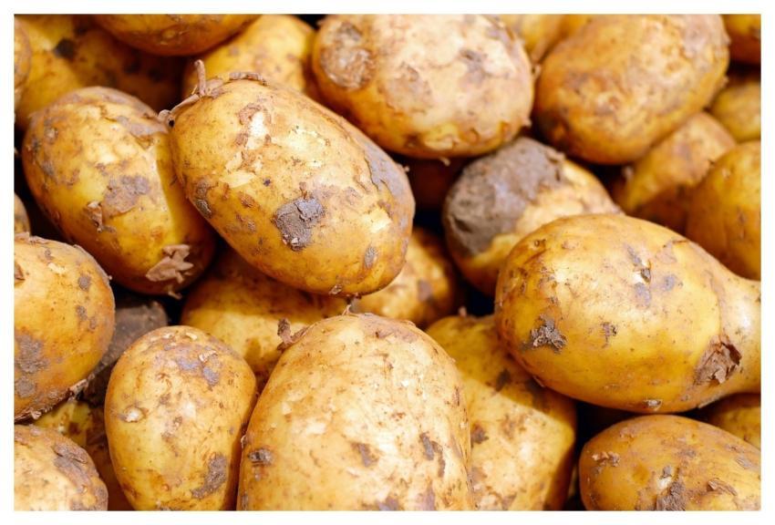 Potatoes Vegetables Food Tuber