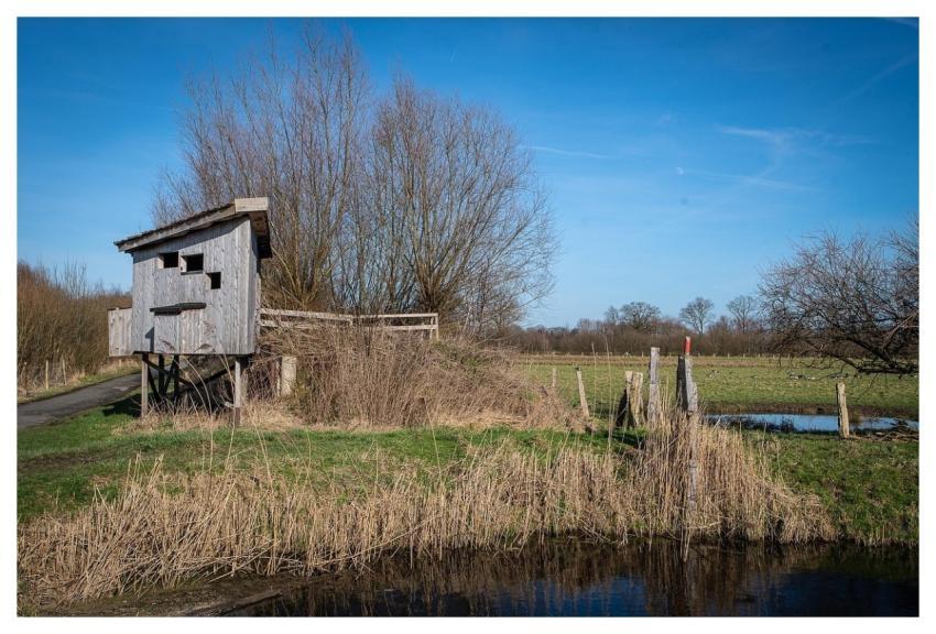 Refuge Bird Watching Observation Hut Bird Protecti