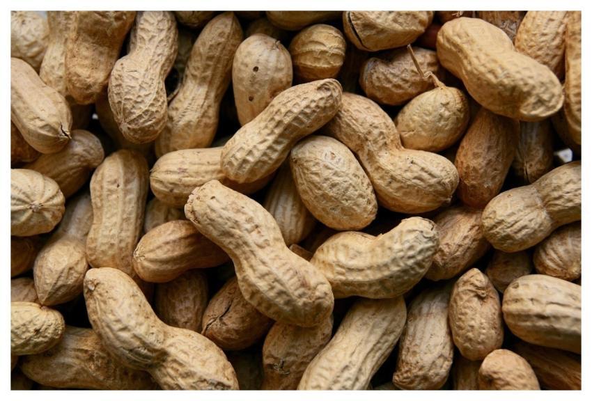 Peanuts Nuts Food Nennieinszweidrei