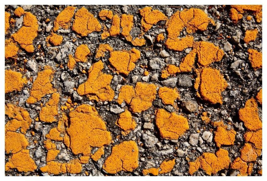 Cracks Art Abstract Tar