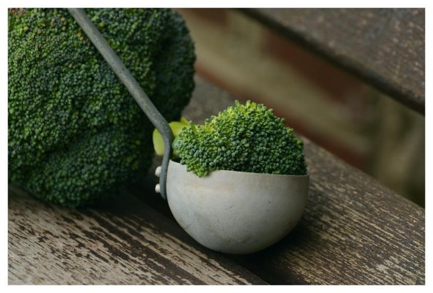 Broccoli Vegetables Healthy Cook