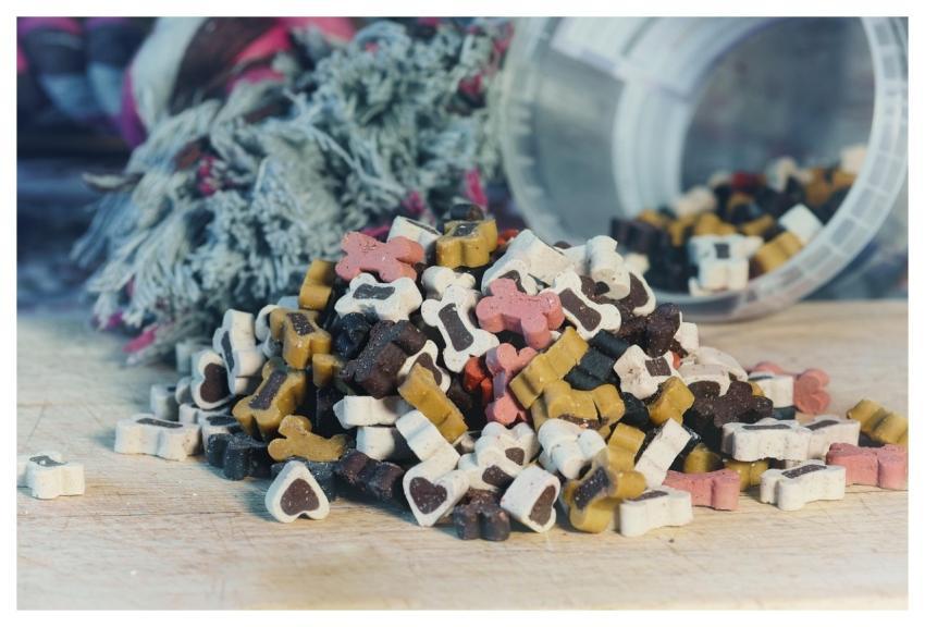 Dog Food Heart Wolf Down Pet Food