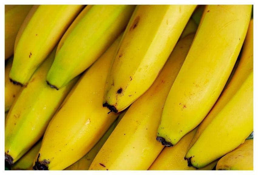 Bananas Tropical Fruits Fruit Exotic