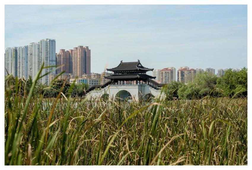 Asia China Xiangtan Landscape