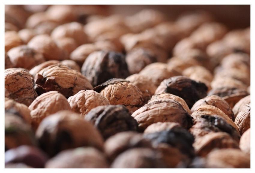 Walnuts Nuts Food Healthy