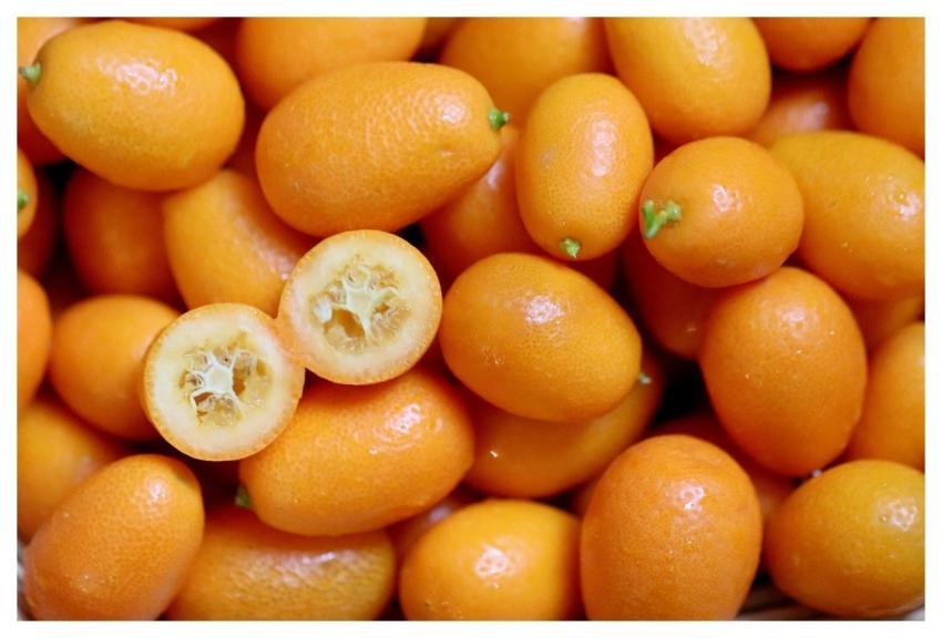 Kumquats Citrus Fruits Tropical Fruits Golden Oran