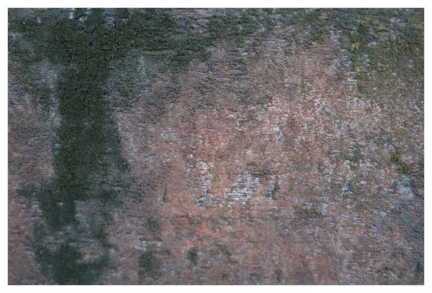 Wood Timber Texture Abstract