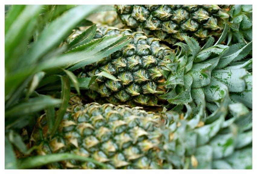 Pineapple Fruit Fresh Food