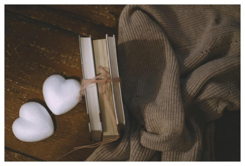 Books Gift Rose Rose Flower