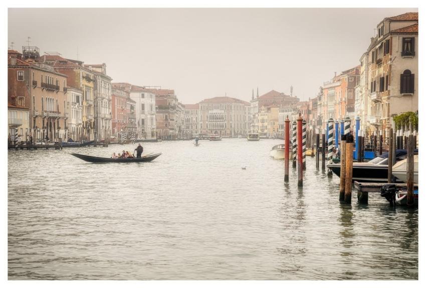 Venice Nature Italy Island