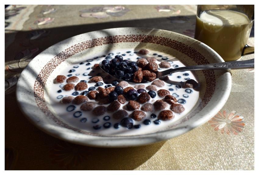 Cereal Milk Bowl Breakfast