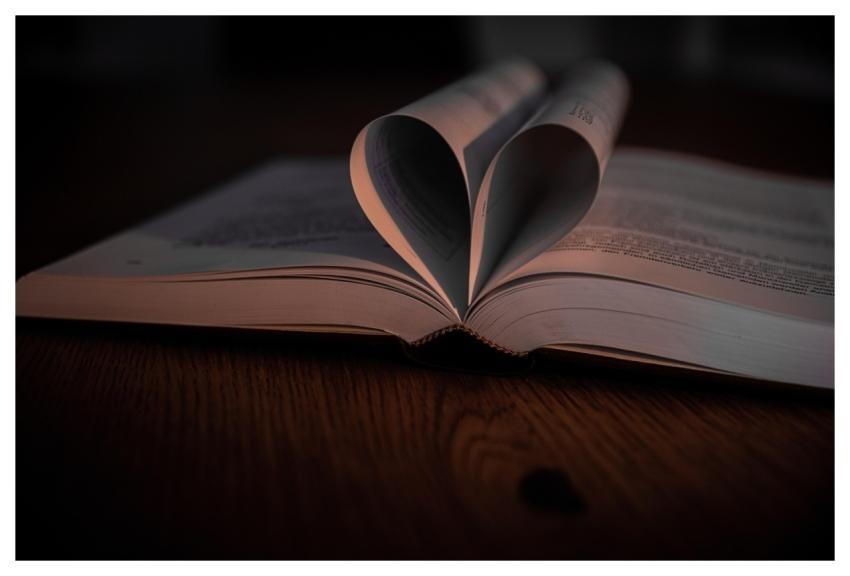 Book Read Literature Library