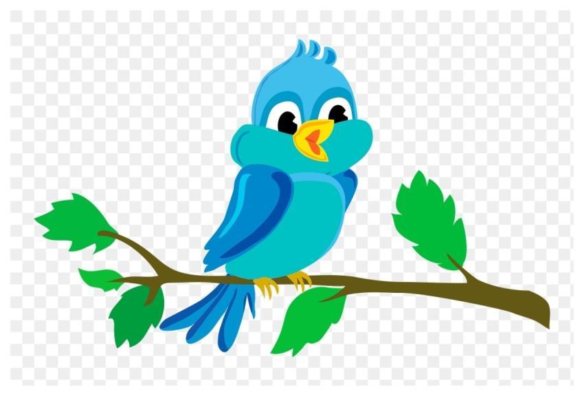 Bird png sticker, animal illustration