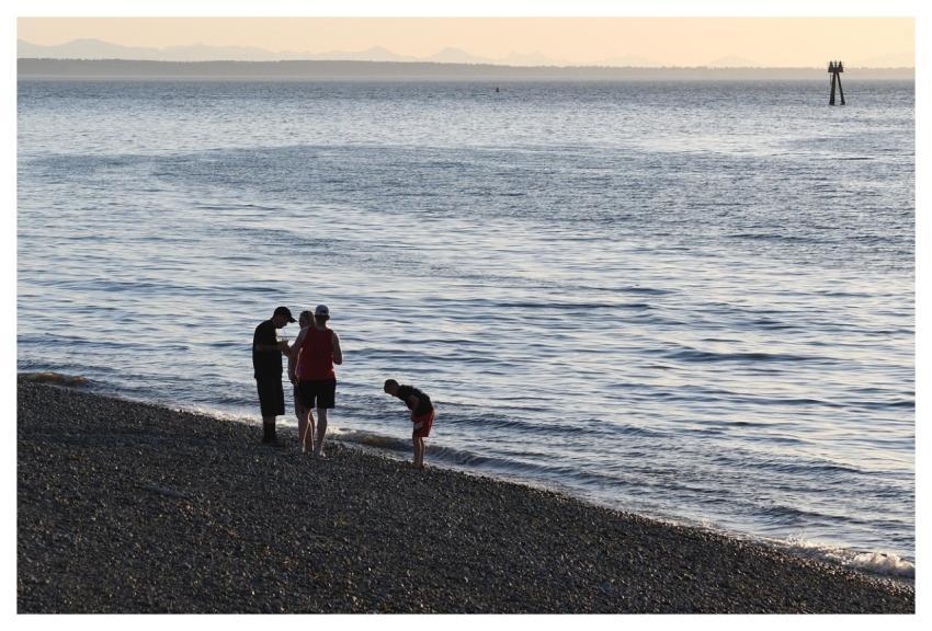 Beach Ocean Sunset Water