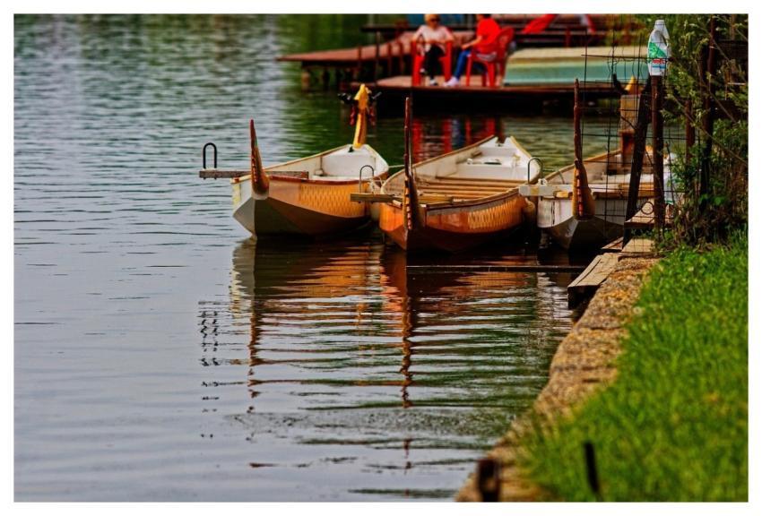 Boat Ship Paddle Water