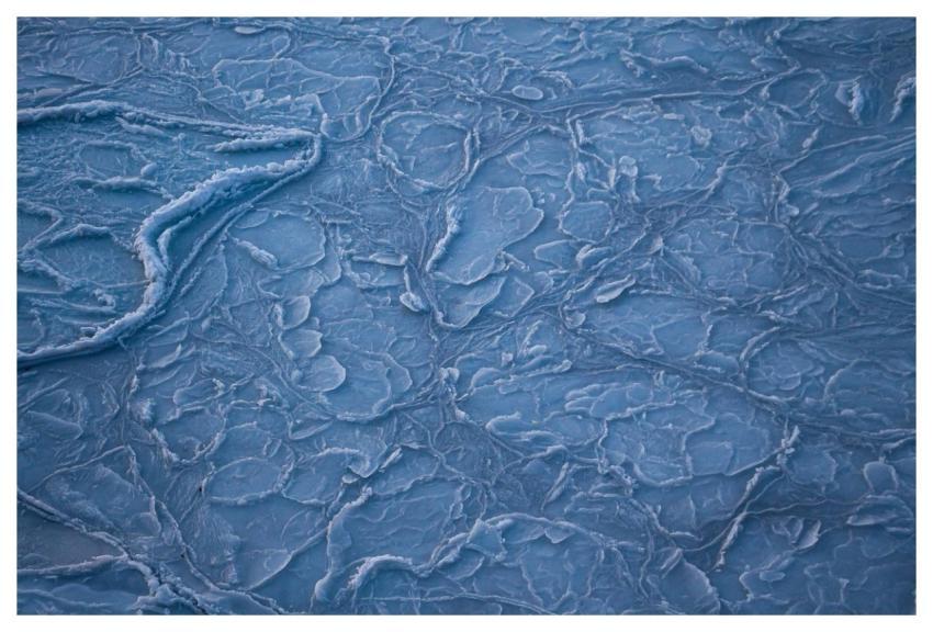 Water Flower Background Winter Ice