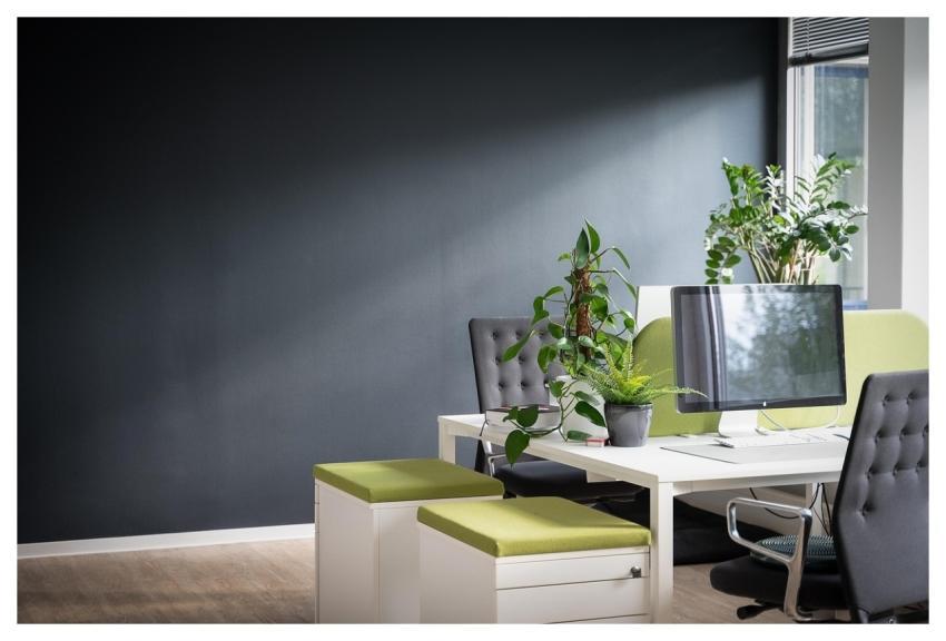 Work Desk Office Management