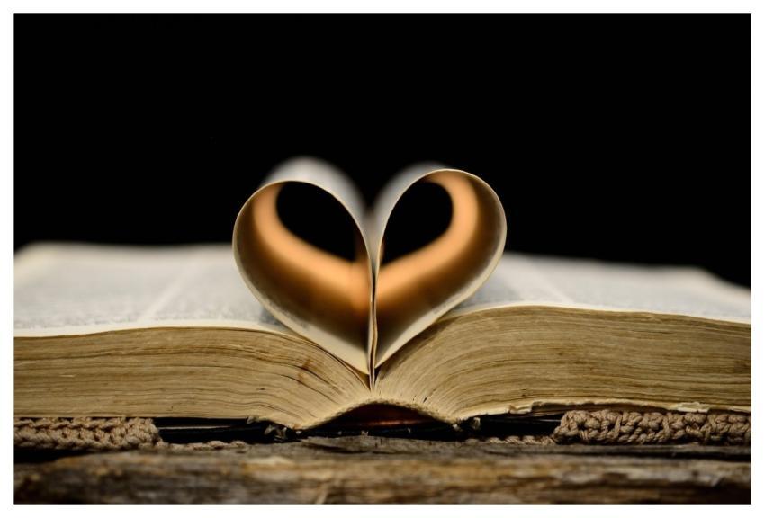 Heart Book Pages Education