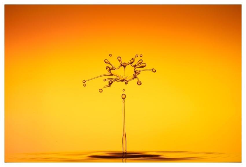 Water Water Drop Nature Splash