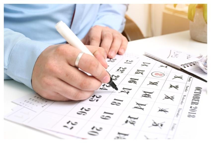 Writing Hand Calendar Pen